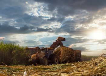 mubadala-faz-melhor-oferta-pela-bp-bunge-bioenergia