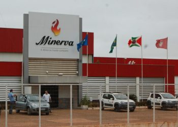 Minerva