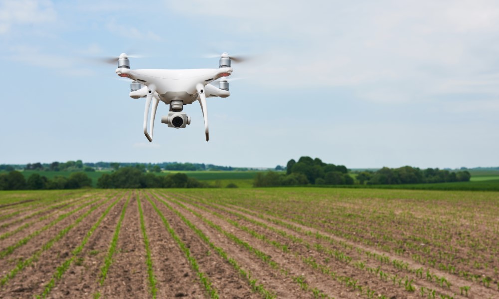 Sem trabalhadores, empresa cria drones com IA para colher frutas