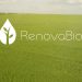 renovabio
