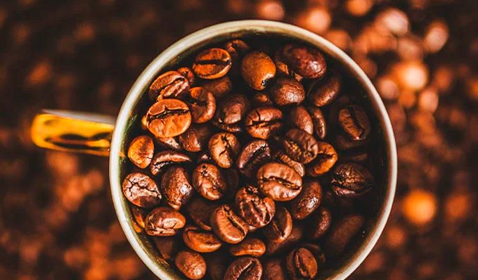 Diferenças entre os cafés arábica e conilon - Exportadora de Café Guaxupé