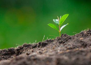 Clique AQUI, entre no grupo de WhatsApp da Visão Agro e receba notícias em tempo real ou nos acompanhe através do Telegram