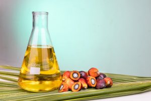 Óleo de Palma é a matéria-prima com maior eficiência para produção dos biocombustíveis de segunda geração