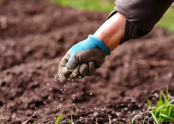 Fertilizantes: comissão aprova projeto para estimular produção nacional