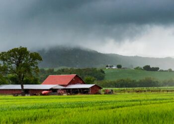Agronegócio e os desafios e soluções diante às mudanças climáticas