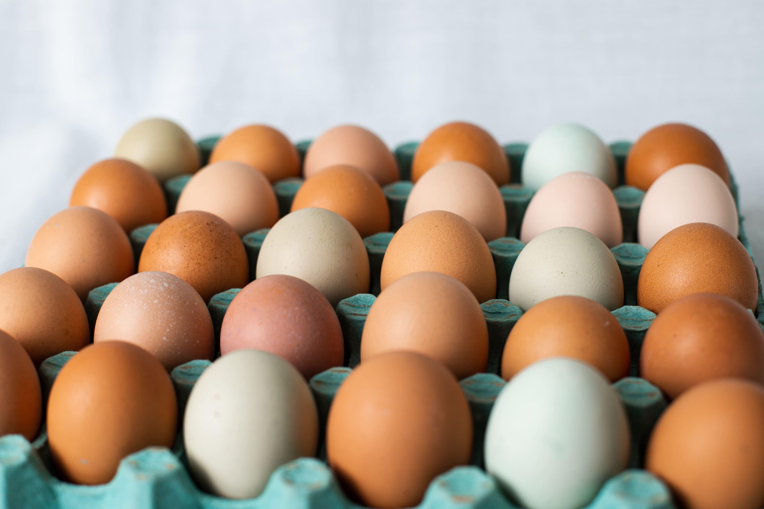 Ovos: Exportações de janeiro são as maiores desde agosto/23