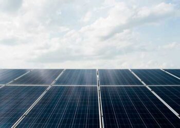 Transição energética: Agência Internacional de Energia destaca ações do Brasil na presidência do G20