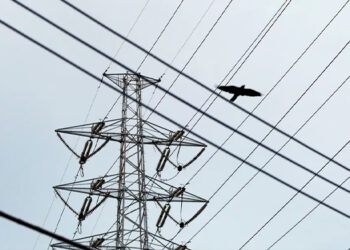 Consumo de energia elétrica no Brasil cresce 6,8% no 1º trimestre deste ano