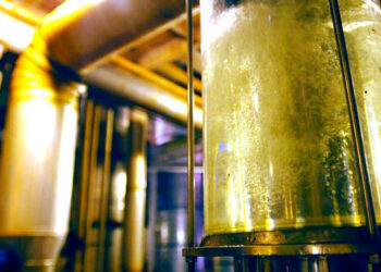 Entenda por que o etanol é considerado um combustível do futuro