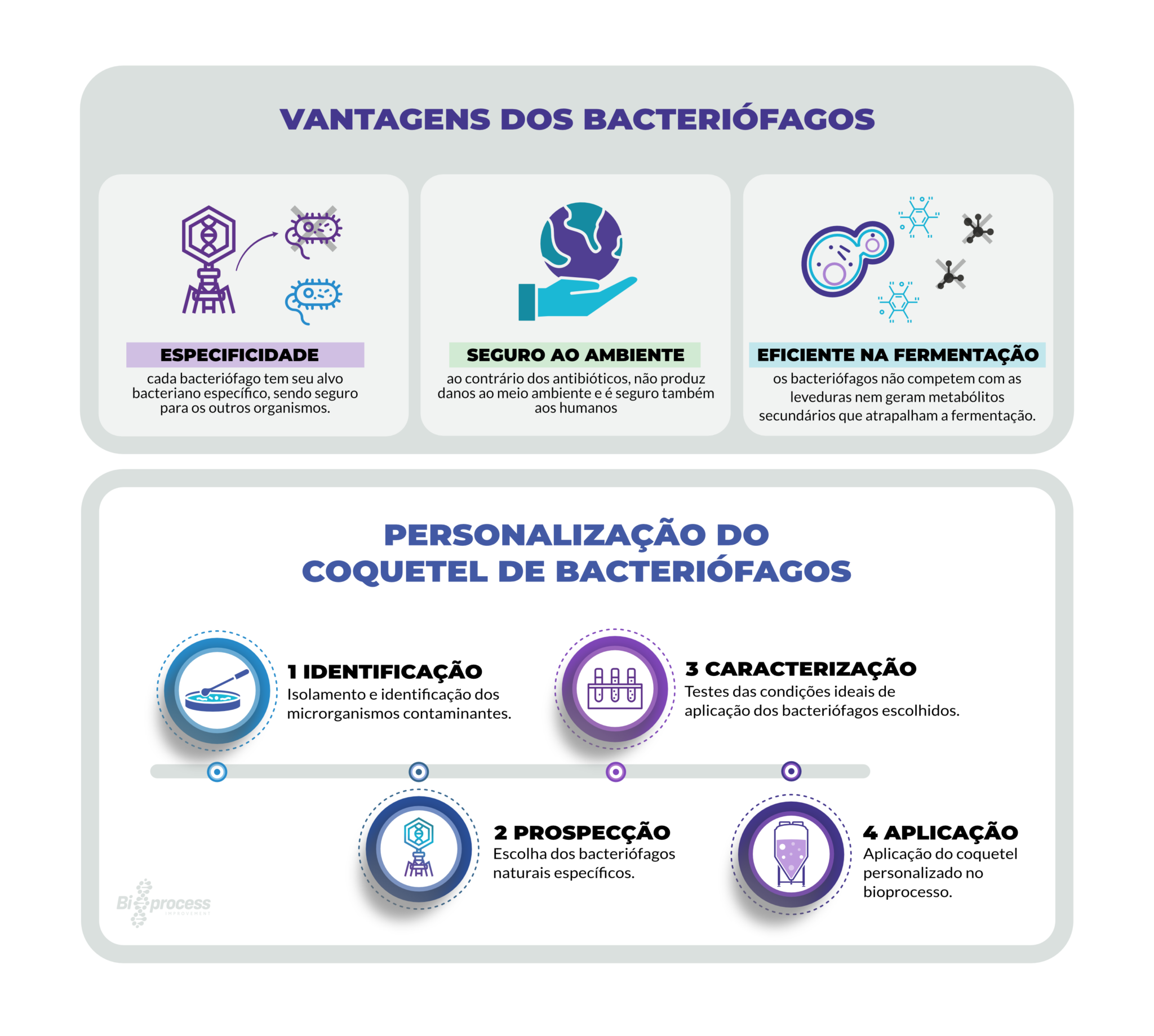 Bacteriófagos como uma poderosa inovação biotecnológica no combate à ...