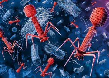 Bacteriófagos como uma poderosa inovação biotecnológica no combate à contaminação bacteriana