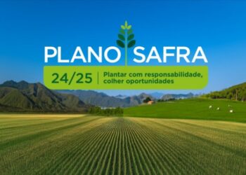 CRÉDITO RURAL: Governo Federal lança Plano Safra 24/25 com R$ 400,59 bilhões para agricultura empresarial
