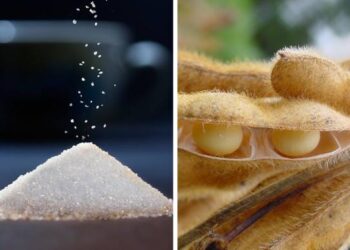 Açúcar e soja puxam exportações dos portos paranaenses no primeiro semestre