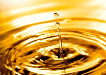 JBS investe na transformação de resíduos animais em combustível sustentável