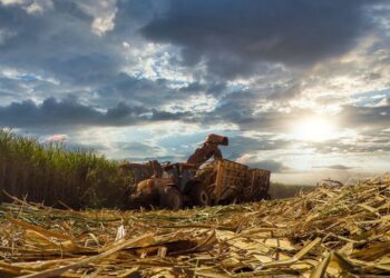 Biomassa quebra recorde de geração de energia em 2023