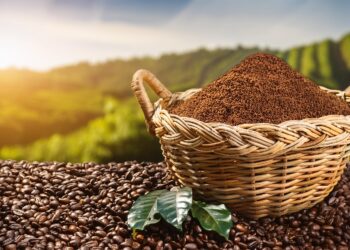 Café: Preço médio do arábica é o maior desde fev/22