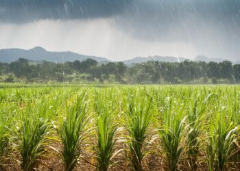 Volta do La Niña nos próximos meses é ameaça de estiagem em parte do Brasil