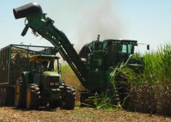 Conab: produção nacional de cana-de-açúcar em 2023/24 atinge recorde de 713,2 milhões de t