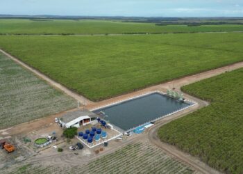 Irrigação por gotejamento da Netafim transforma a produção de cana-de-açúcar na Estreito Agropecuária