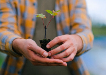Lei permite a produtor rural usar cadastro ambiental para cálculo do ITR