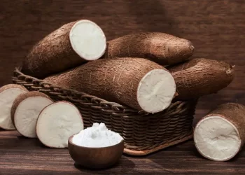 Mandioca: Baixa oferta mantém preços em alta