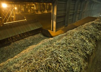 Safra canavieira 23/24 no Centro-Sul atinge 646,60 milhões de toneladas