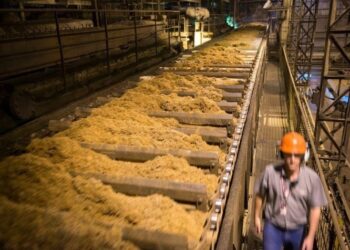 Raízen aumenta moagem de cana em 15% no primeiro trimestre da safra 2024/25