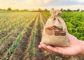 Resolução autoriza renegociação de crédito Rural em municípios afetados por desastres naturais no Rio Grande do Sul