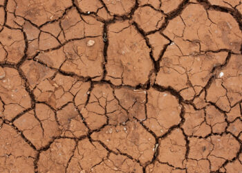 Brasil tem mais de mil cidades em situação de seca extrema ou severa; confira a situação onde você mora