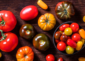 Tomate: Temperaturas acima da média mantêm pressão sobre cotações