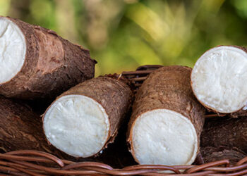 Gasolina, diesel e etanol sobem nos postos na 1ª quinzena de julho, diz Ticket Log