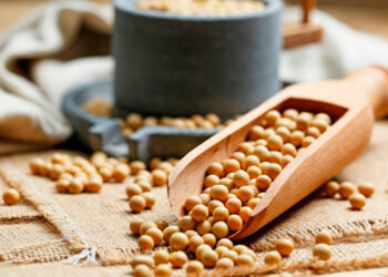 Brasil faz maior importação de soja nas últimas duas décadas