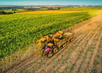 Usinas canavieiras optam por locação de máquinas aumentam eficiência e reduzem custos