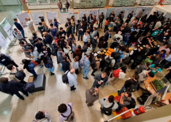 Queimadas escancaram urgência de ações para compreender, mitigar e se adaptar às mudanças climáticas