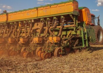 Plantio Escalonado: A necessidade de manejo nutricional preciso para maximizar a eficácia