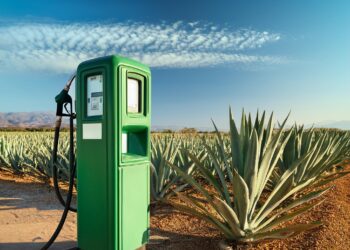 ABDI e governo da Bahia vão destinar R$ 2,6 milhões para incentivar etanol de agave