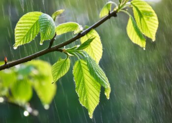 Previsão do tempo: confira como será o mês que começa hoje