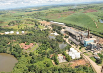 Presidente da Usina Petribu, Daniela Petribu confirma presença no Vision Tech Summit Agro