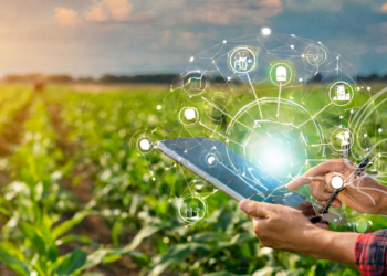 Segurança alimentar e o papel da tecnologia na eficiência do agro brasileiro