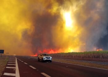 Grande incêndio em canavial atinge região de Ribeirão Preto e causa acidentes em rodovia e queda de energia – veja imagens