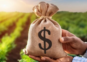 Com ano safra completo, desembolso do crédito rural chega a R$ 400,7 bilhões