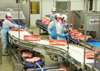 Paraná registra exportações de alimentos e bebidas para 172 países