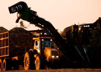 Moagem atinge 44 milhões de toneladas na 1ª quinzena de agosto