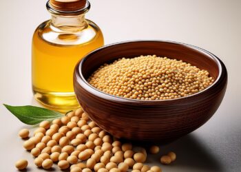 Demanda por biocombustíveis eleva preço do óleo de soja