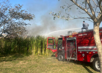 Governo de São Paulo amplia ações de enfrentamento aos incêndios em parceria com iniciativa privada