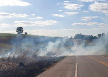 Limpeza de margens e resfriamento do asfalto: SP investe R$ 65 milhões na prevenção de incêndios na beira de rodovias