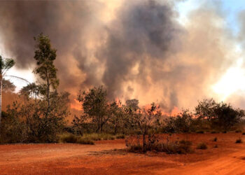 SP renova alerta de risco elevado de incêndios em todo o estado até terça (10)