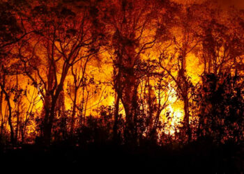 Senadores apresentam projetos para agravar penas em crimes de incêndio