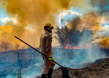 Tecnologia pode ser decisiva para evitar alta de 3°C na temperatura do planeta, diz agência