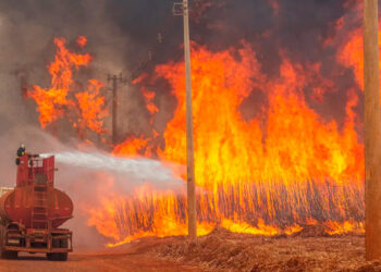 Plantações devastadas e veículos queimados: Fantástico mostra avanço das chamas no interior de SP